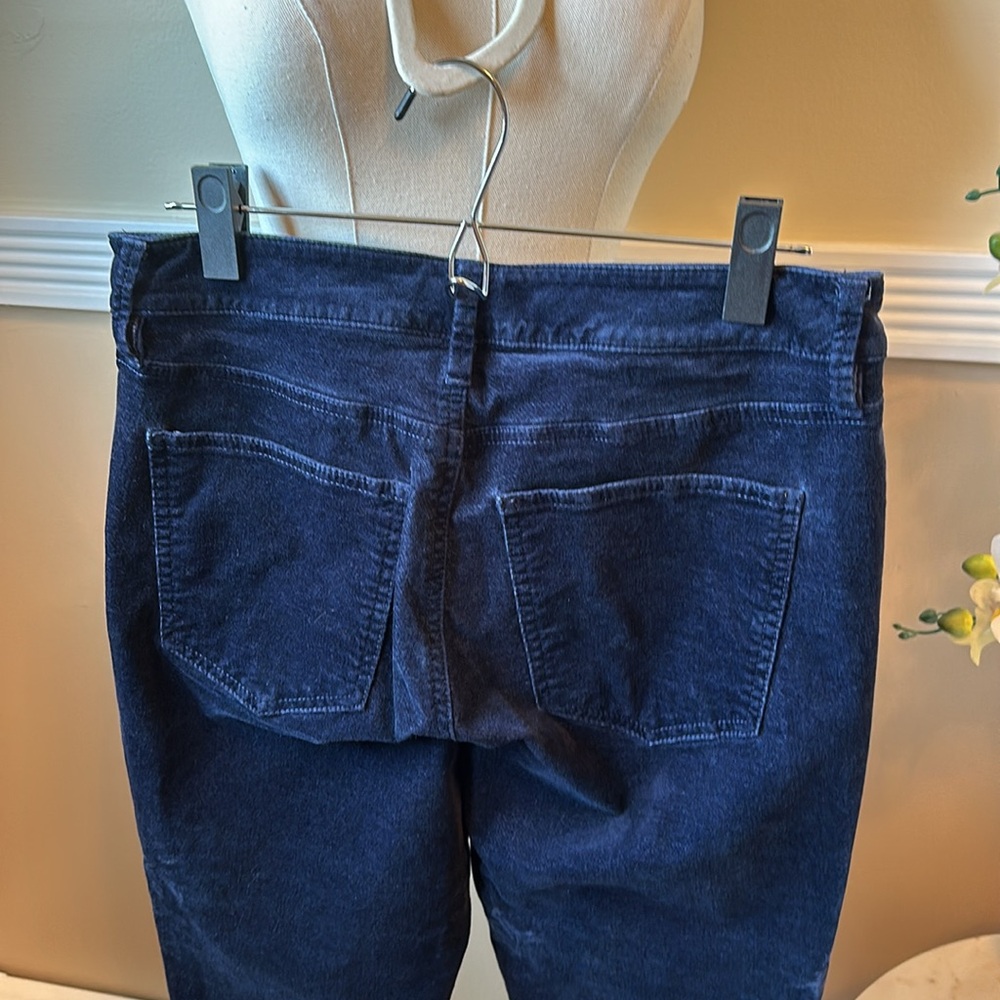 Ann Taylor Navy velvety Skinny Pants - Picture 5 of 5